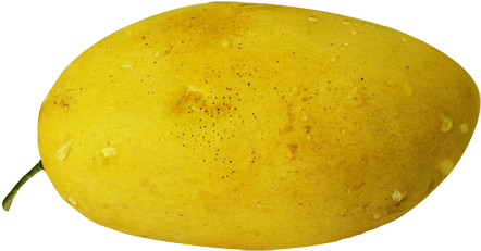 Mango - Papaya (500x267)