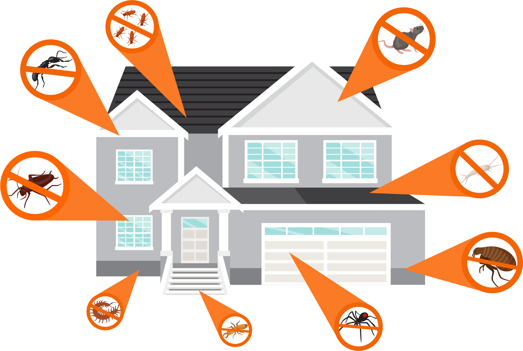 At Havoc Pest Control We Promote The Practice Of Integrated - Pest (1825x1226)