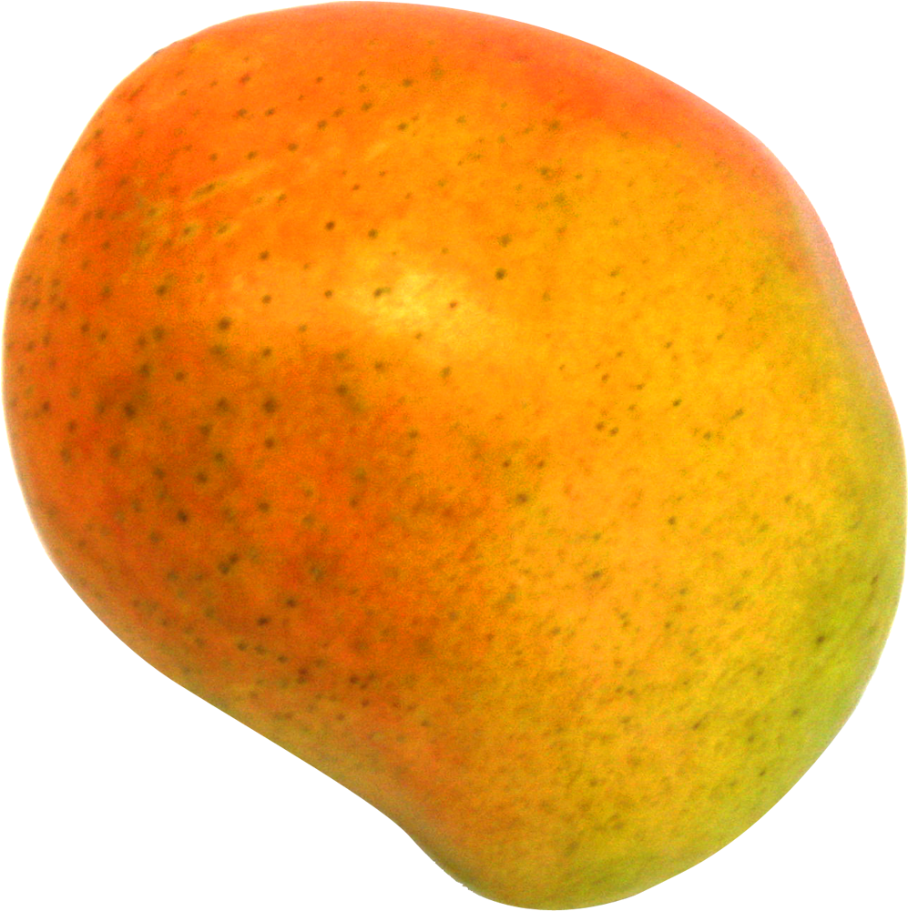 Download Mango Png Image - Mango Png (1123x1113)