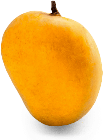 Alphonso Mangoes Large Box - Mango (427x502)