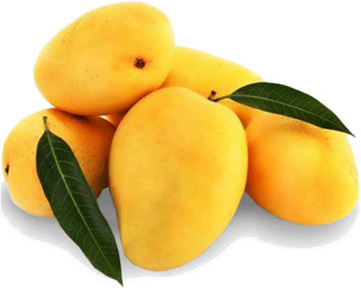 Mango Free Png Image - Fresh Mango (548x502)
