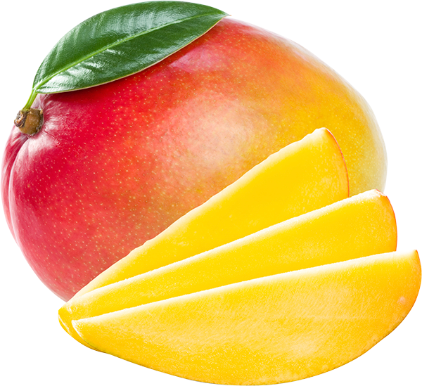 Free Download Food Partners - Manga Tommy (600x549)