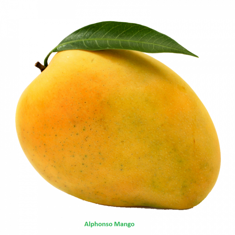 Mango Clipart Png Download Mango Free Png Photo Images - Mango Png (768x768)