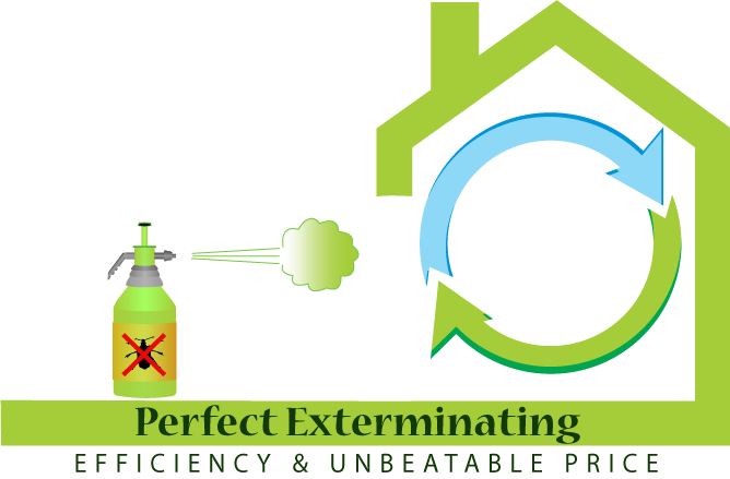 Professional Pest Control Services Throughout New Jersey - Elizabeth (668x439)