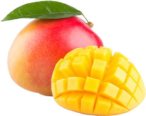 Foods To Balance Blood Sugar (500x411)