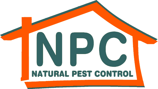 Return To Natural Pest Control Home Page - Pest Control (532x300)