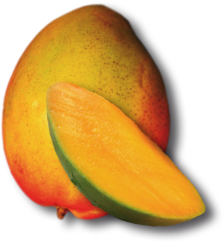 Mango - Dibujos De Frutas De Color Amarillo (350x362)