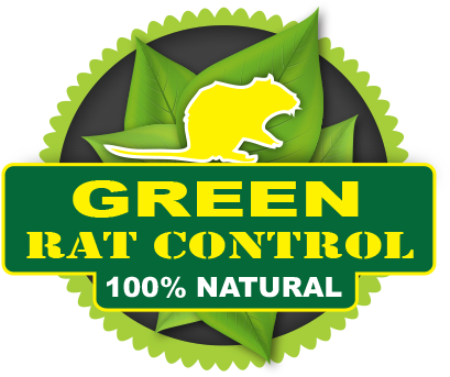 How Often Do You Need Pest Control Services - Westside Connection Terrorist Threats (446x352)