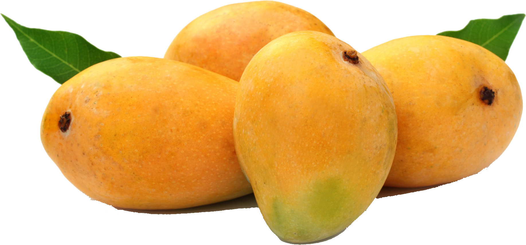 Mango Png Hd Images - Hapus Mango (1901x960)