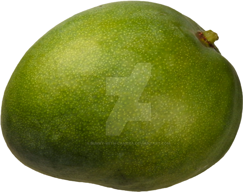Green Mango Png By Bunny With Camera - Clip Art (1024x768)