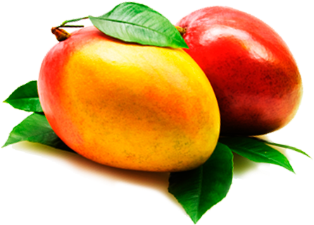 Mango - Nectarine (500x321)