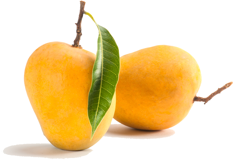 Mango Png Background Image - Mesmara Raw Unrefined Mango Butter 50g (1000x669)