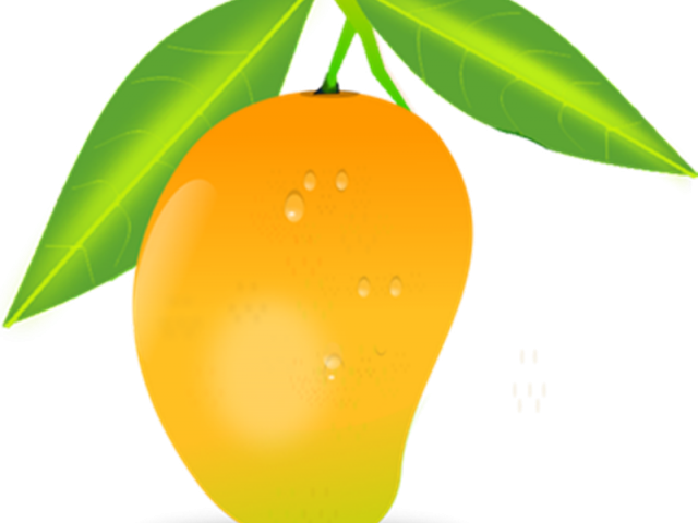 Realistic Clipart Mango - Mango Clipart (640x480)