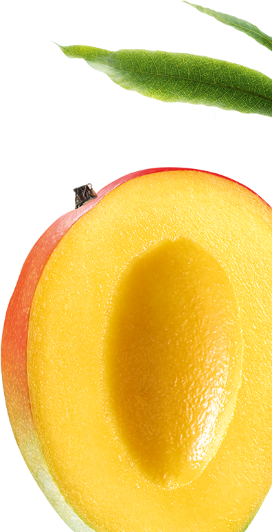 Crema De Día Nutritiva Y Protectora Para El Cabello - Mangue Klorane Png (720x773)