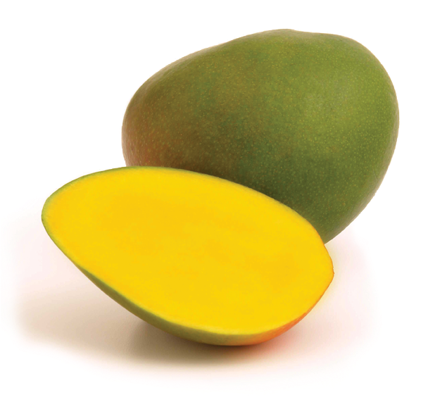 Mango - Kent - Mango Kent Png (900x575)