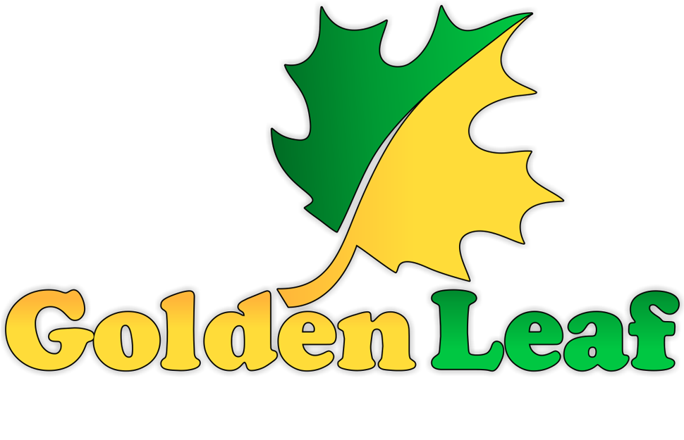 Carpet Cleaning - Maid Service (1000x640)