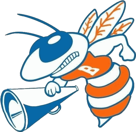 Bartow Cheerleaders Will Strive For Excellence In Academics, - Bartow Cheerleaders Will Strive For Excellence In Academics, (550x473)