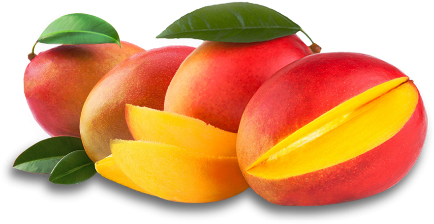 Mango - Mango (1200x480)