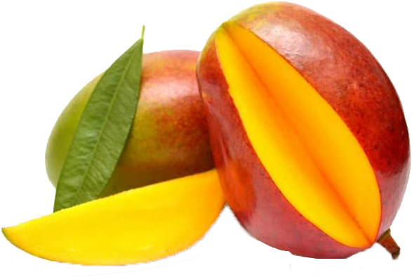 Mango Png Images - Insight Professional Insight Colored Hair Protective (950x444)