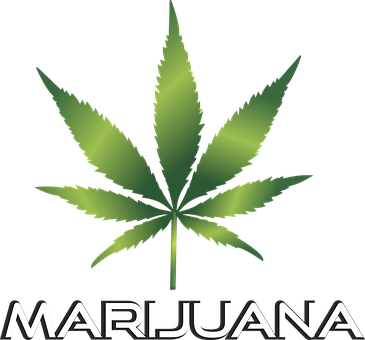 Background Black Cannabis Culture Design D - Weed Clip Art (365x340)
