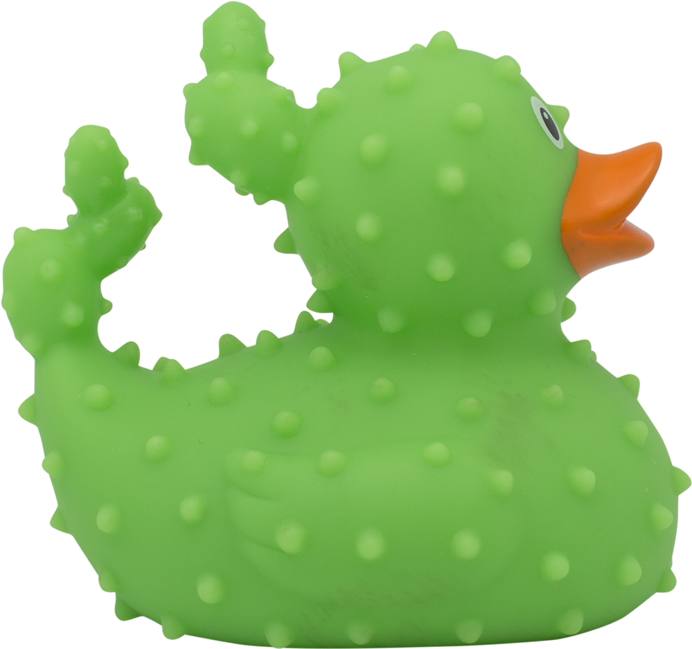 Cactus Rubber Duck By Lilalu - Duck (1117x1117)