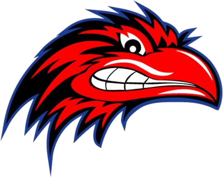 South Carolina Ravens - Vista Del Lago Ravens (720x720)