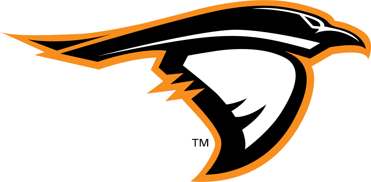 Anderson University Ravens (1200x590)