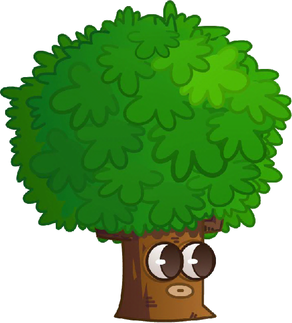 Firmiana Close Up - Illustration (576x637)