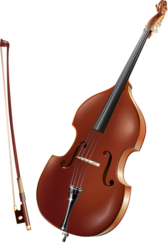 Music Clipartpiano - Bass Instrument Clipart (557x800)