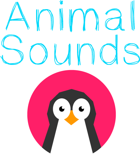 Picture - Adã©lie Penguin (600x600)