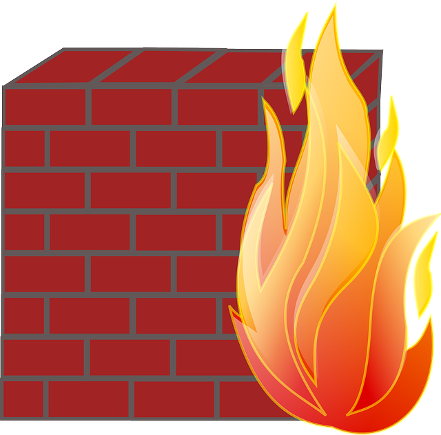 Internet, Network, Icon, Symbol, Fire - Firewall Clipart (640x631)