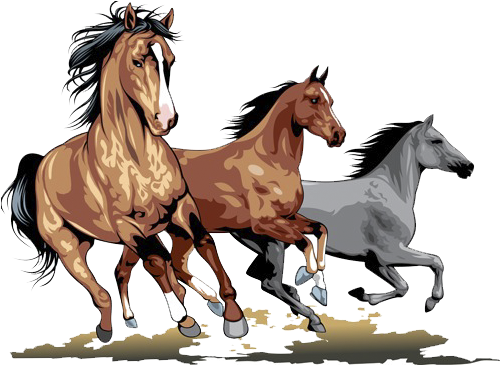 Horse Stallion Clip Art - Horse Shirts For Womens (659x556)