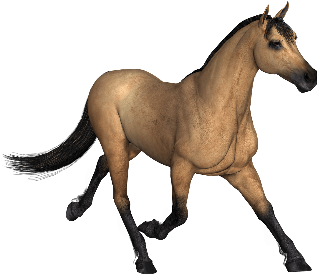 Brown Horse Running - Imagenes De Animales En Png (1280x960)