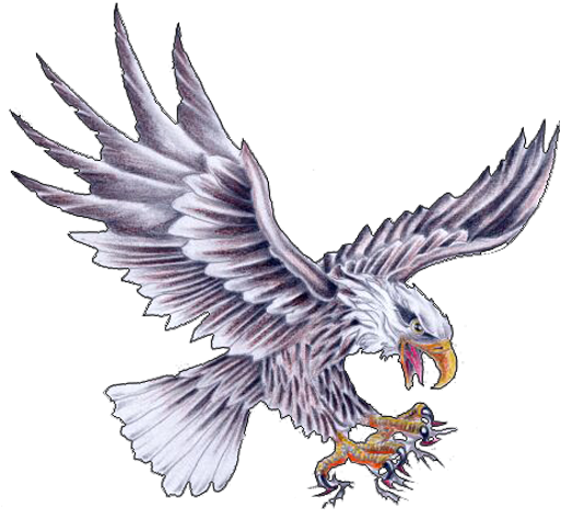 Eagle - Eagle Tattoo Flash Art (520x476)