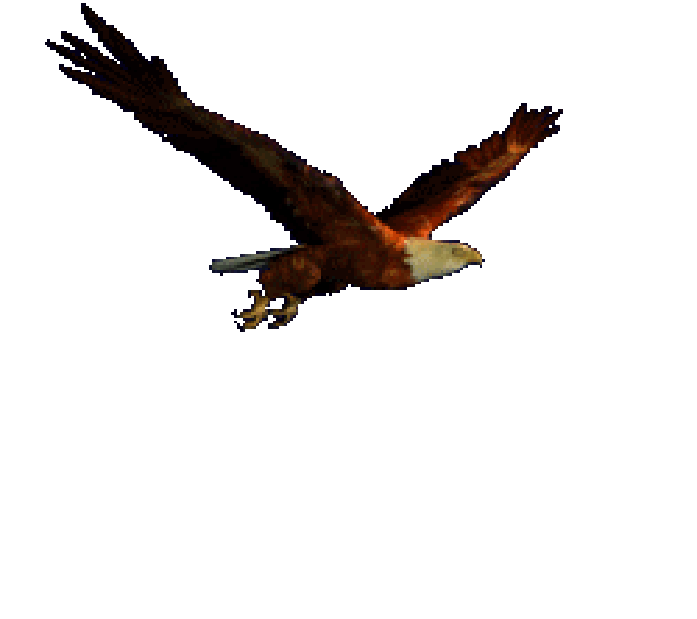 Eagle Gif 7 Gif Images Download Rh Gifimage Net Transparent - Eagle Flying  Gif Transparent - (518x329) Png Clipart Download