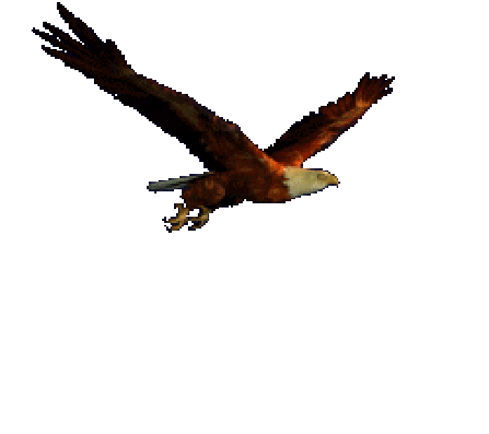 Eagle Gif 7 Gif Images Download Rh Gifimage Net Transparent - Eagle Flying Gif Transparent - (518x329) Png Clipart Download Eagle Gif 7 Gif Images Download Rh Gifimage Net Transparent - Eagle Flying Gif Transparent - (518x329) Png Clipart Download