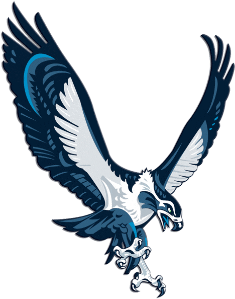 Follow Me - - Seattle Seahawks Full Logo (480x600)