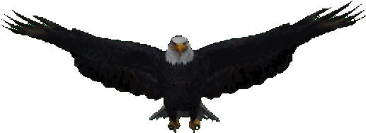 Aigle Gif Animé (640x360)
