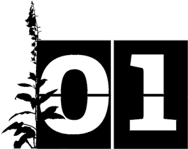 01 - 1 More Day Countdown (400x327)