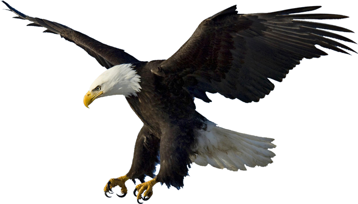 Aigle-15 - Shamanism In The 21st Century By Ph. D. August Lageman (714x405)