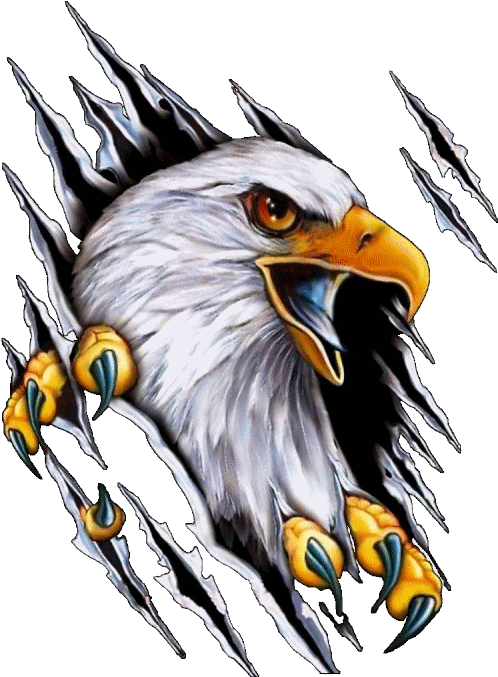 [ Img] - Harley Davidson Eagle (800x800)