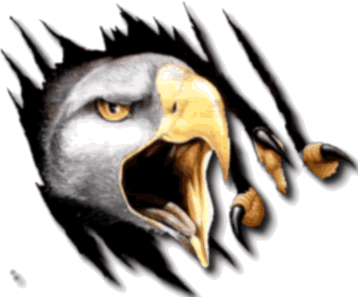 Aigle Images - Dakota Ridge High School (516x428)