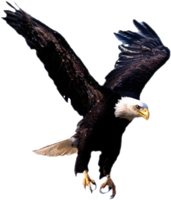 Aigles - Earth Globe With Eagle (600x450)