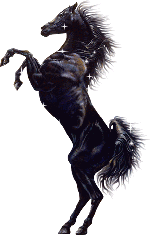 Cheval - Young Black Stallion (2003) (310x474)