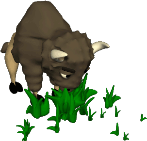 Animaux Bison - Buffalo Animated Gif (350x350)