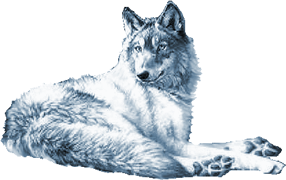 Http - //ptycoeur - P - T - Pic - Centerblog - Net/5d212bd4 - Wolf (467x317)