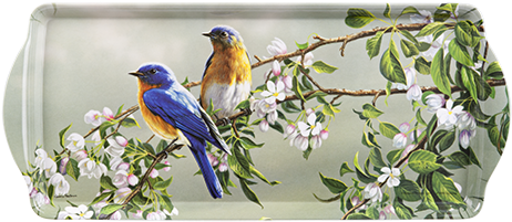 89326 Sandwichtray Bluebirds P Ashdene - Birds Pair Table Mats Pvc Dining Placemats (500x500)
