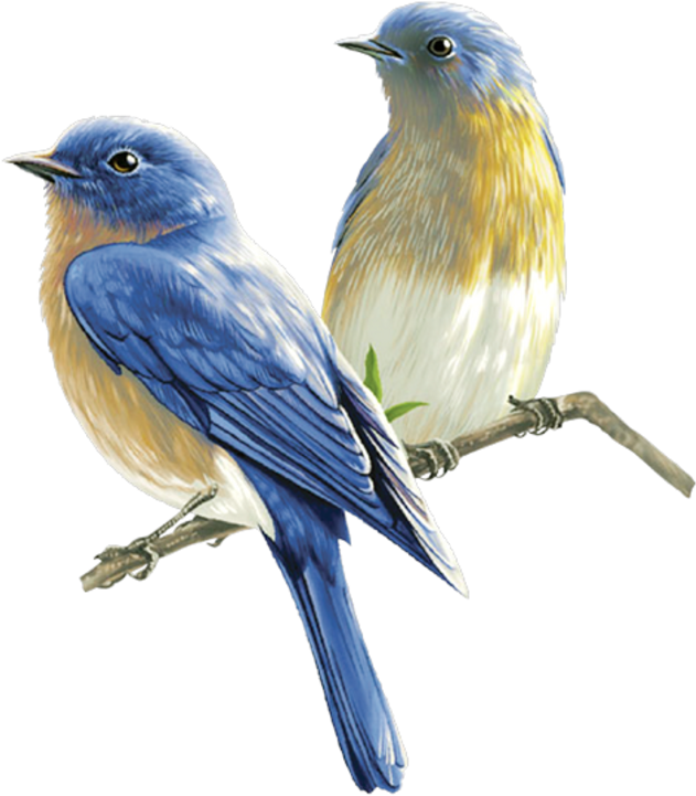 Les Meli Melo De Mamietitine - Birds Png (800x804)