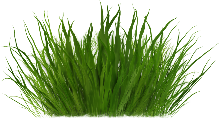Clip Art - Grass - Clip Art (710x383)