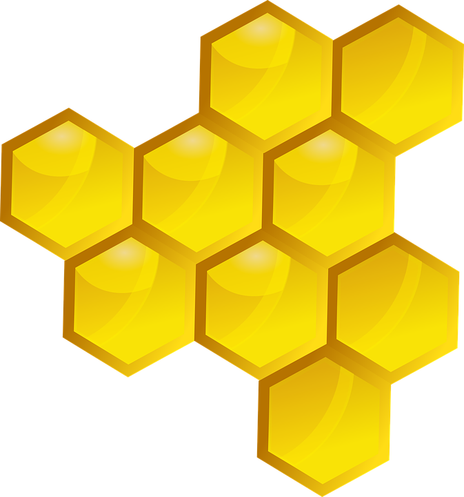Dead Honey Bee - Plastry Miodu Png (673x720)